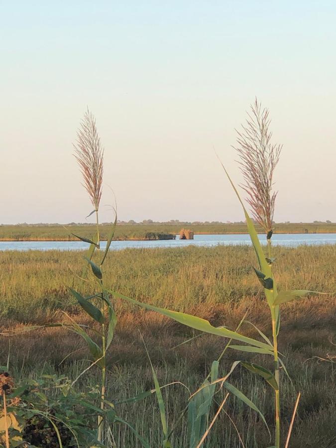 Mare&Terra... Alloggi Nel Delta Polesine Camerini エクステリア 写真