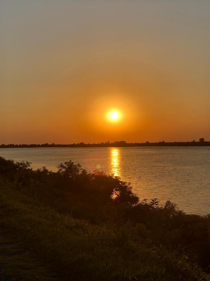 Mare&Terra... Alloggi Nel Delta Polesine Camerini エクステリア 写真