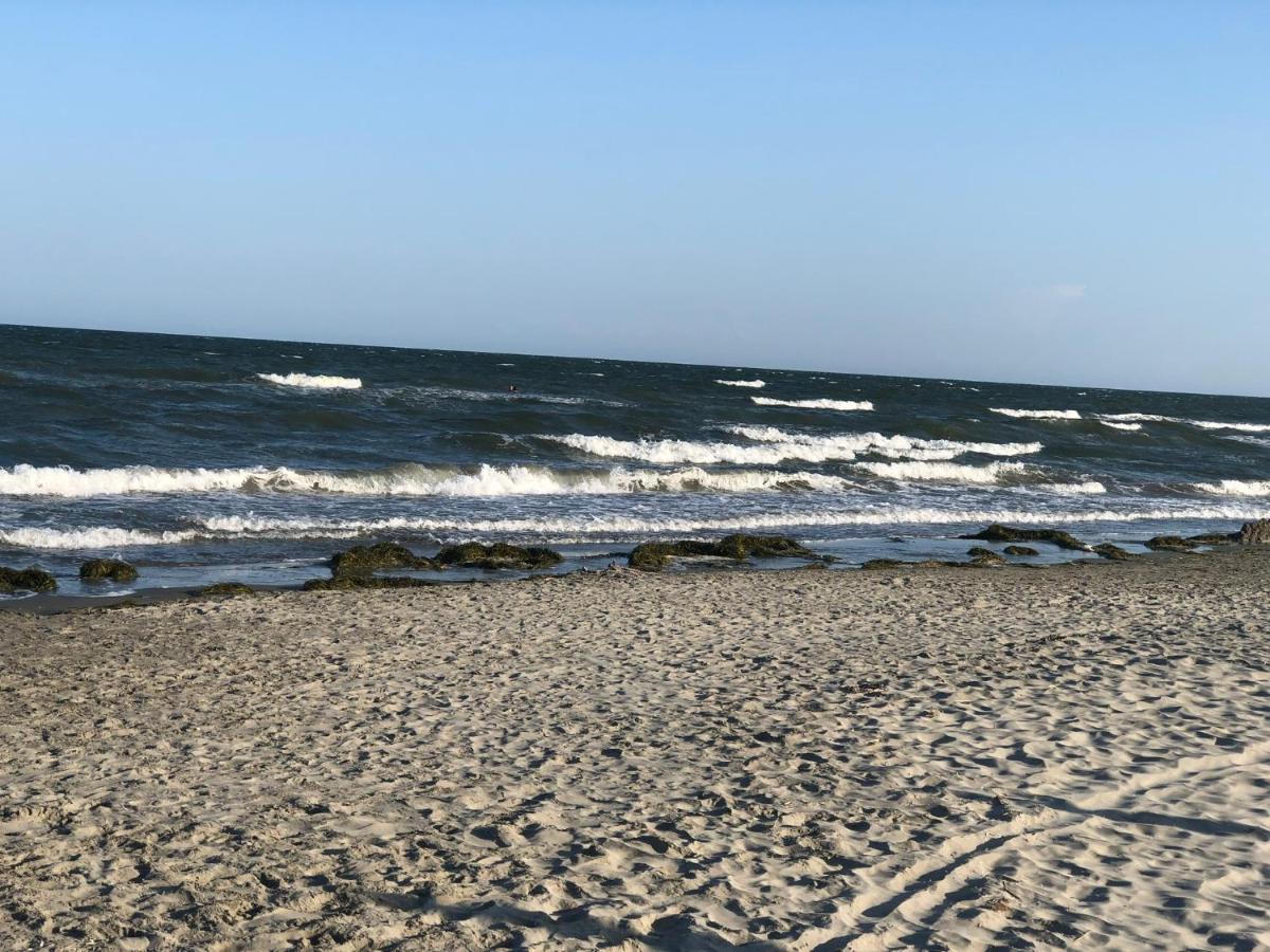 Mare&Terra... Alloggi Nel Delta Polesine Camerini エクステリア 写真